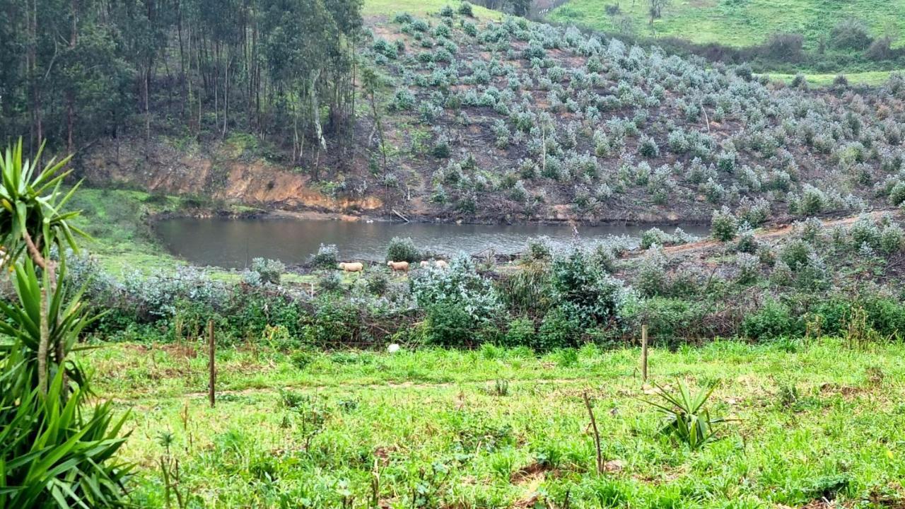 فندق Refugio Do Bem Estar Cercal do Alentejo المظهر الخارجي الصورة